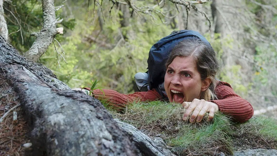 O Segredo Nas Montanhas (2020)