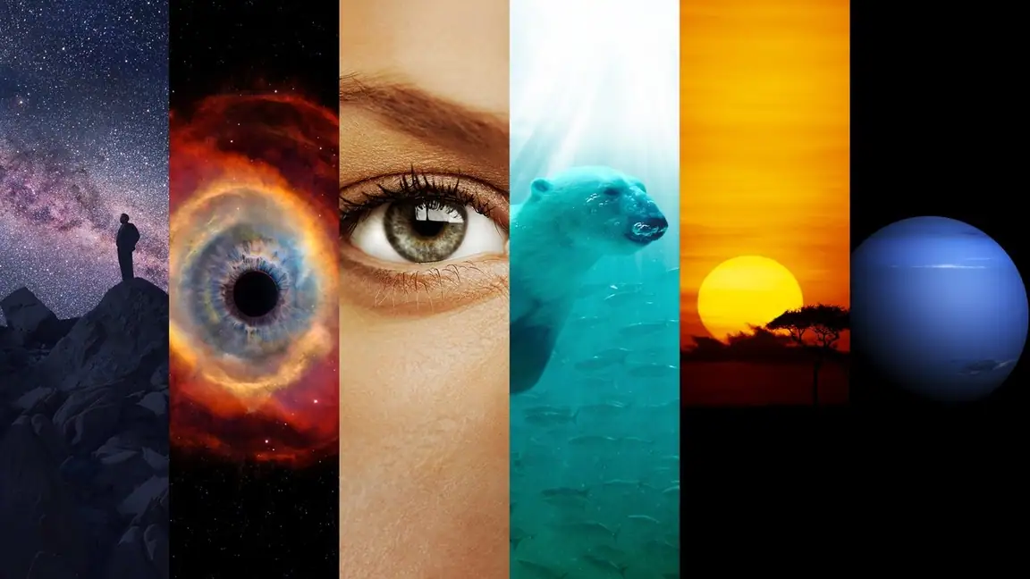 Cena da série Cosmos