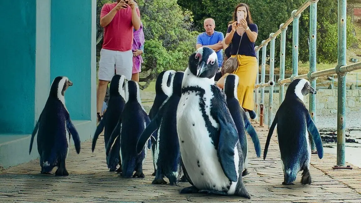 Cena da série Cidade dos Pinguins