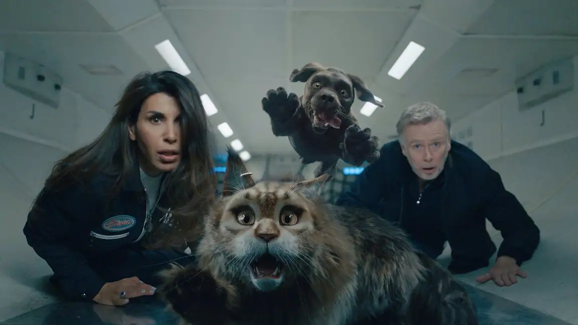 Cão e Gato (2024)