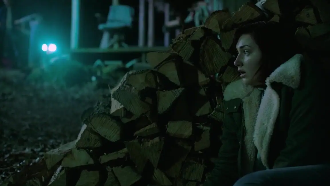 Os Desaparecidos (2016)