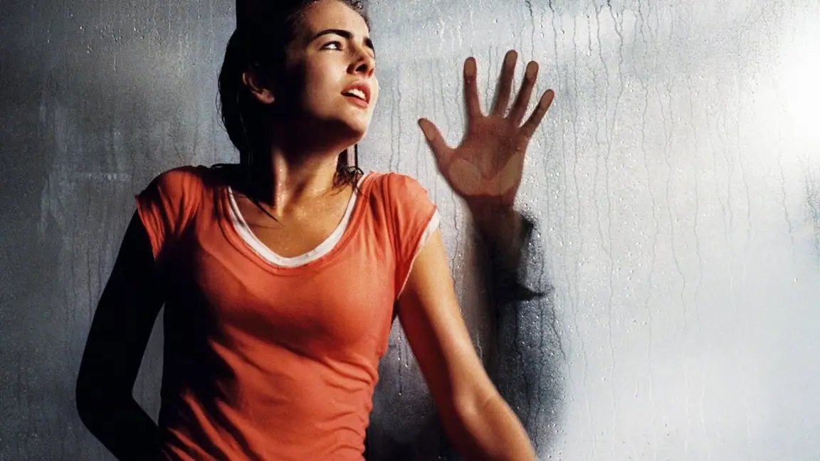 Quando um Estranho Chama (2006)