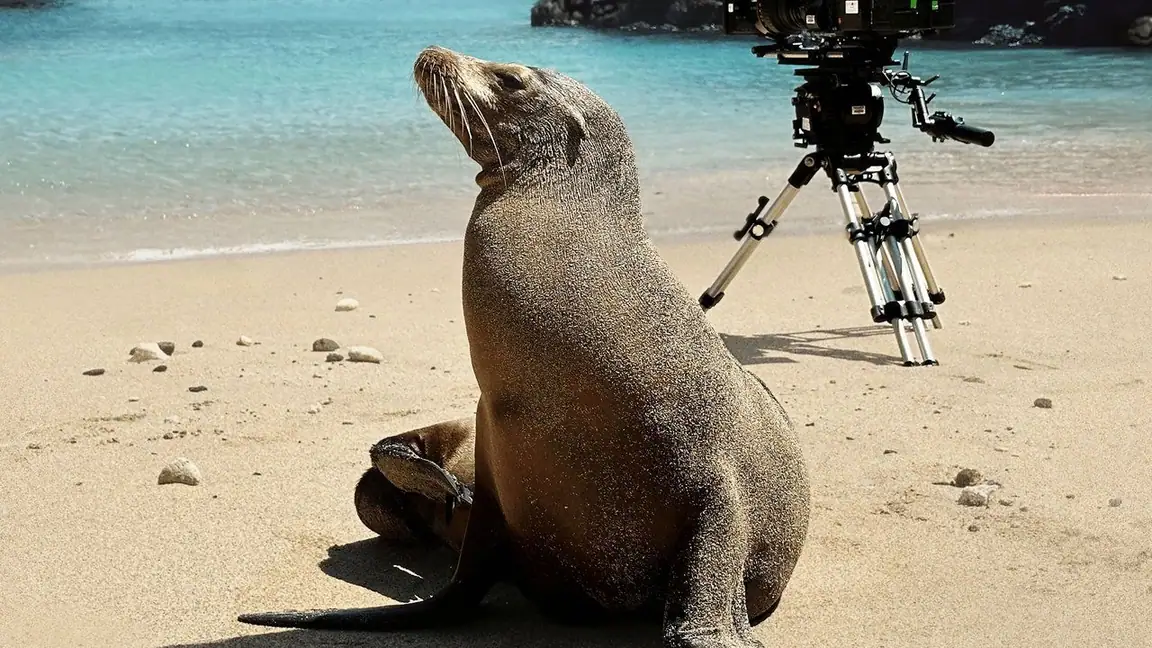 Guardioes das Ilhas Galapagos