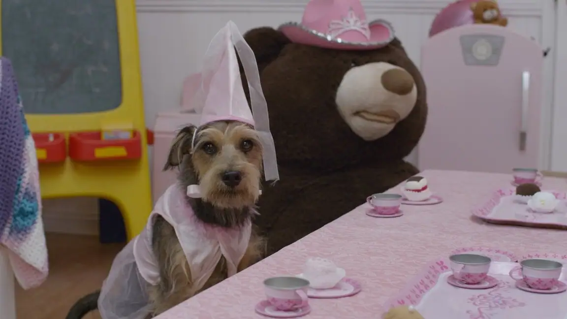 Meu Cachorro é um Robô (2017)