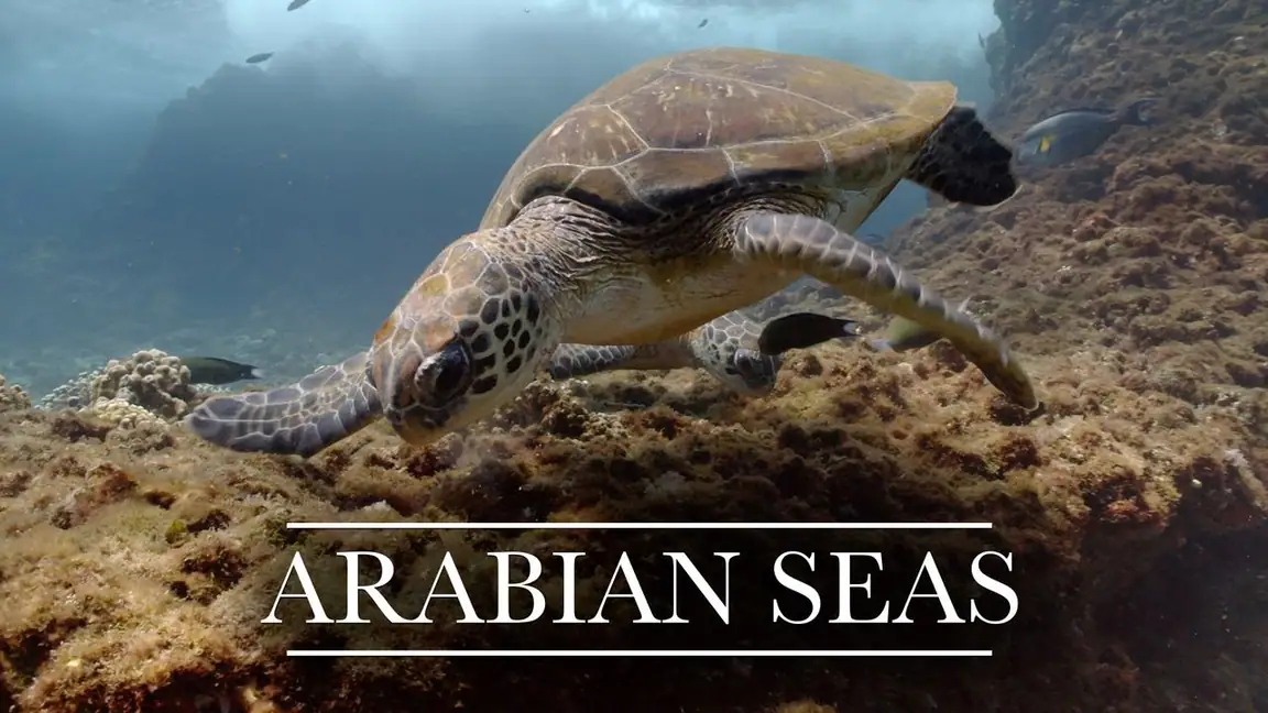 Cena da série Os Mares da Arabia