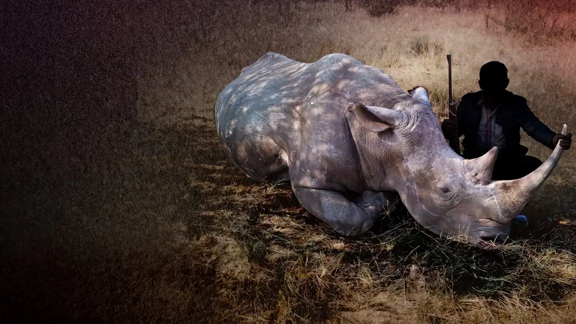 Troféu de Sangue (2025) 4K