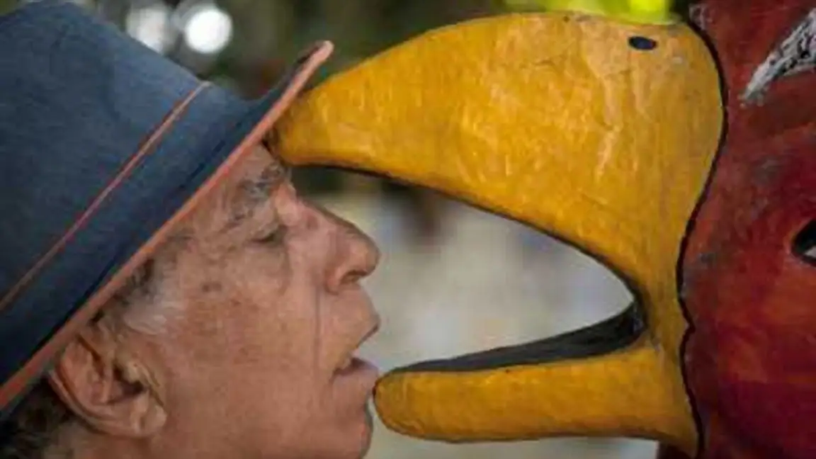 Neville D'Almeida: Cronista da Beleza e do Caos (2019)