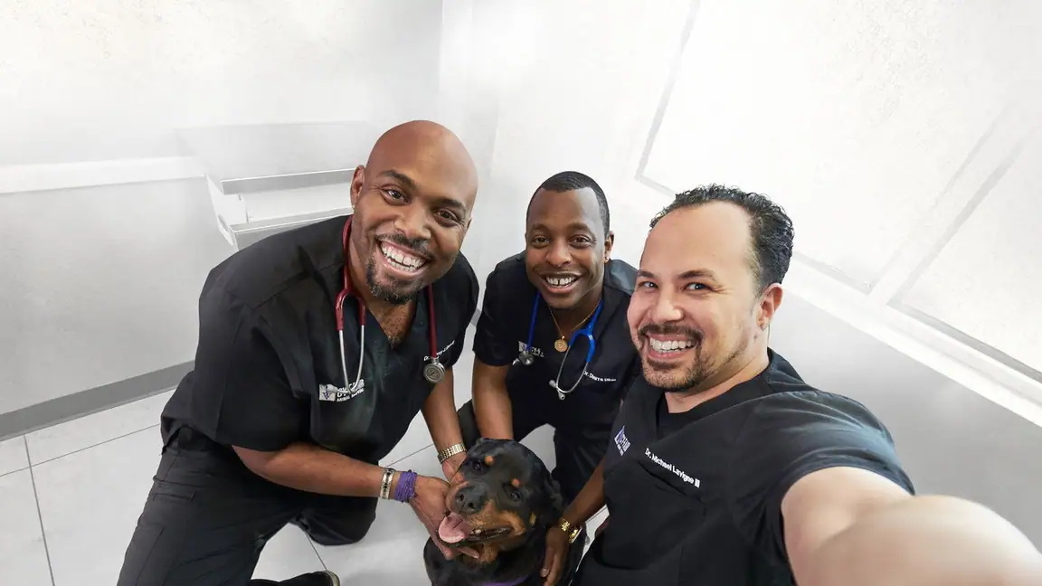 Cena da série Veterinarios do Texas