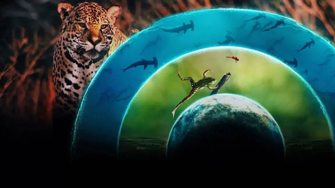 Cena da série Planeta Vivo