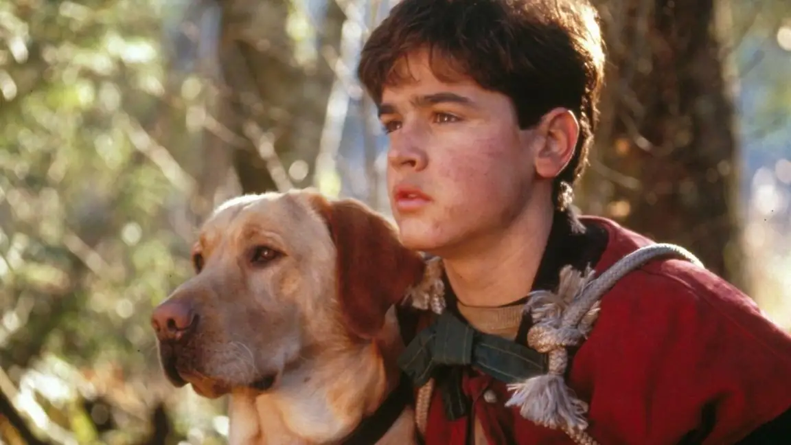 Amigos para Sempre (1995)