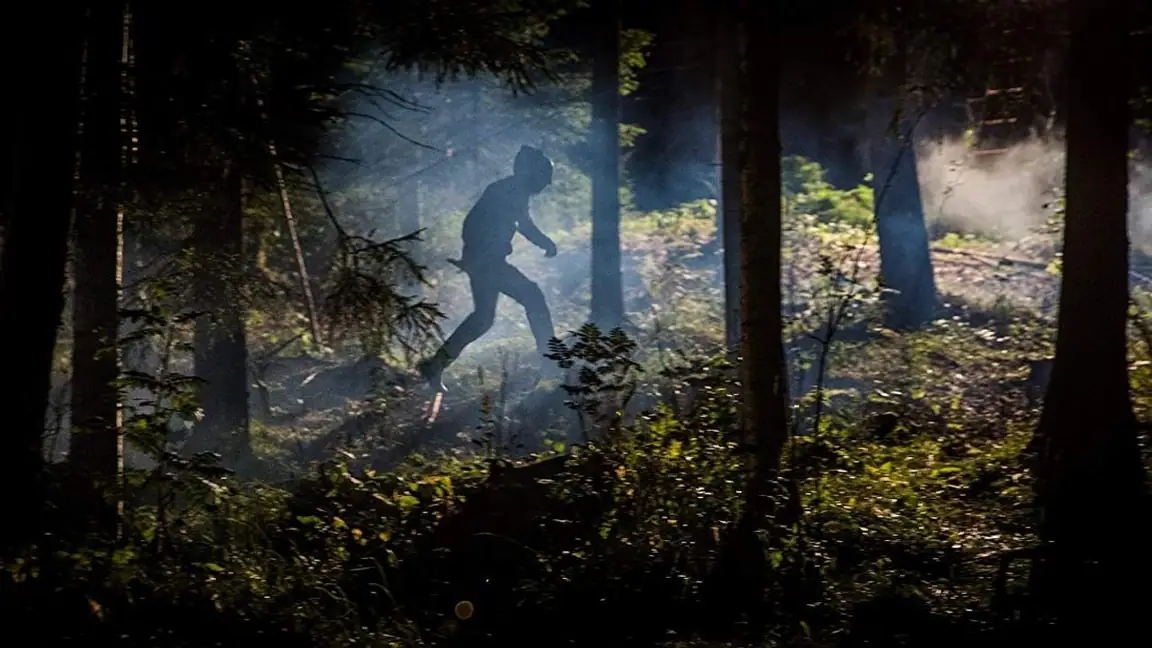 O Outro Lado do Lago (2018)