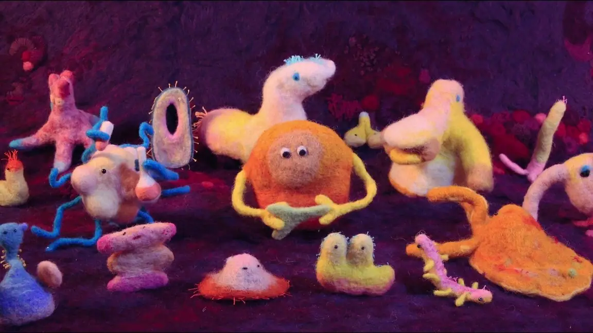 Os Segredos da Alimentação (2024)