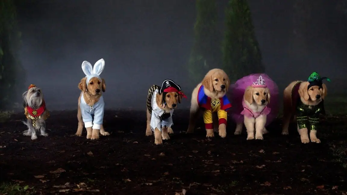 Spooky Buddies: A Casa Mal-Assombrada (2011)