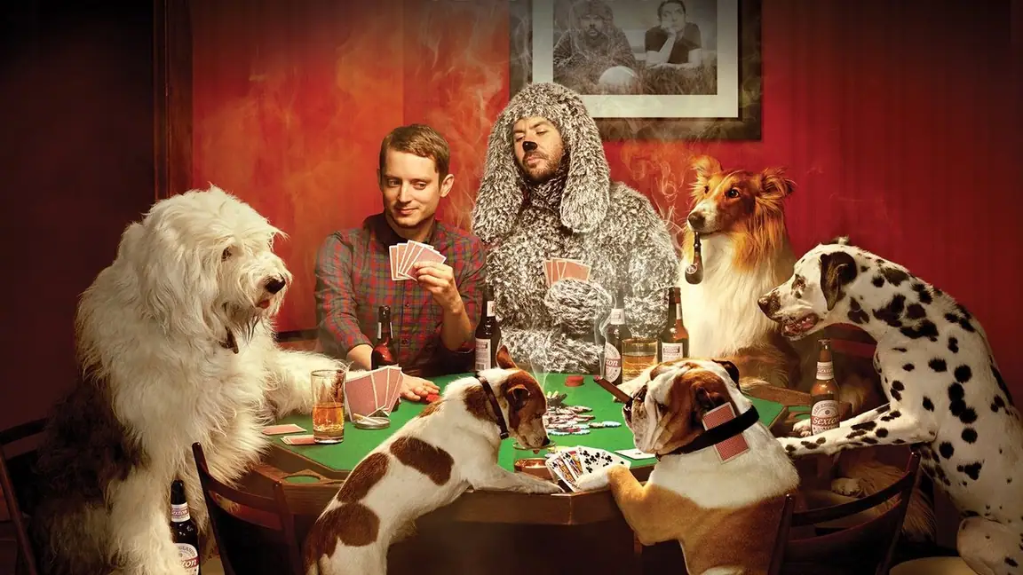 Cena da série Wilfred