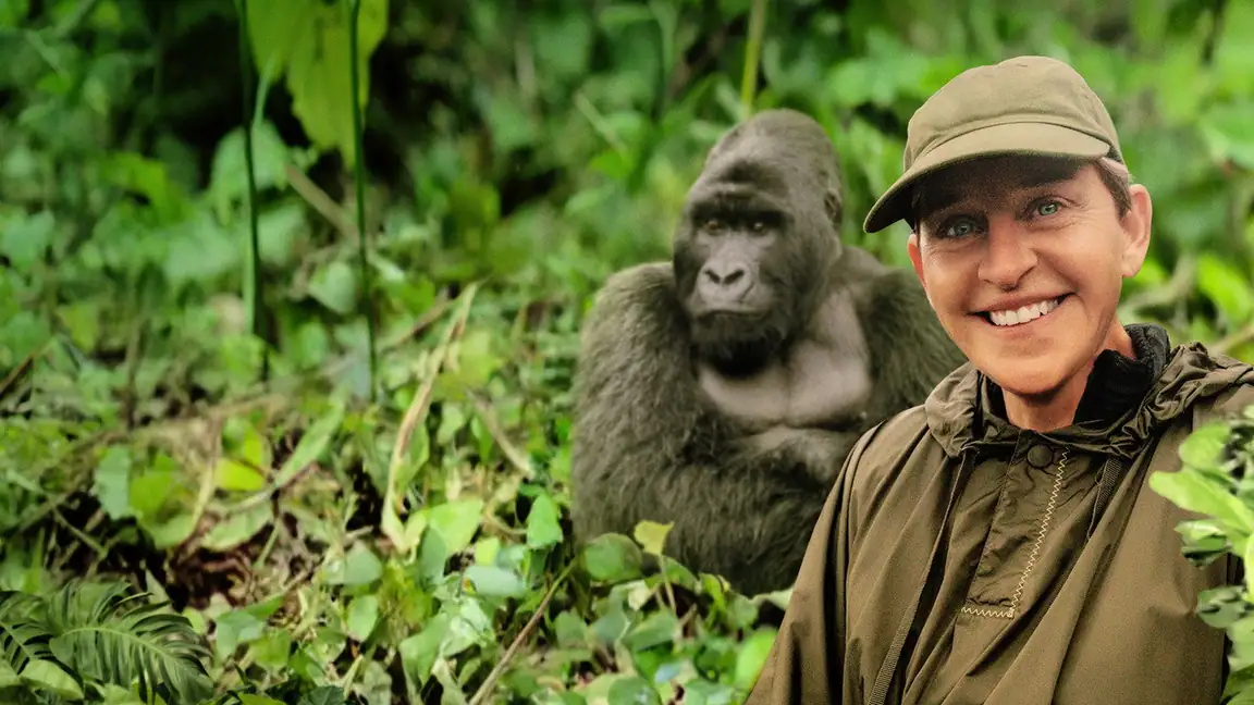 Ellen DeGeneres Salvando os Gorillas