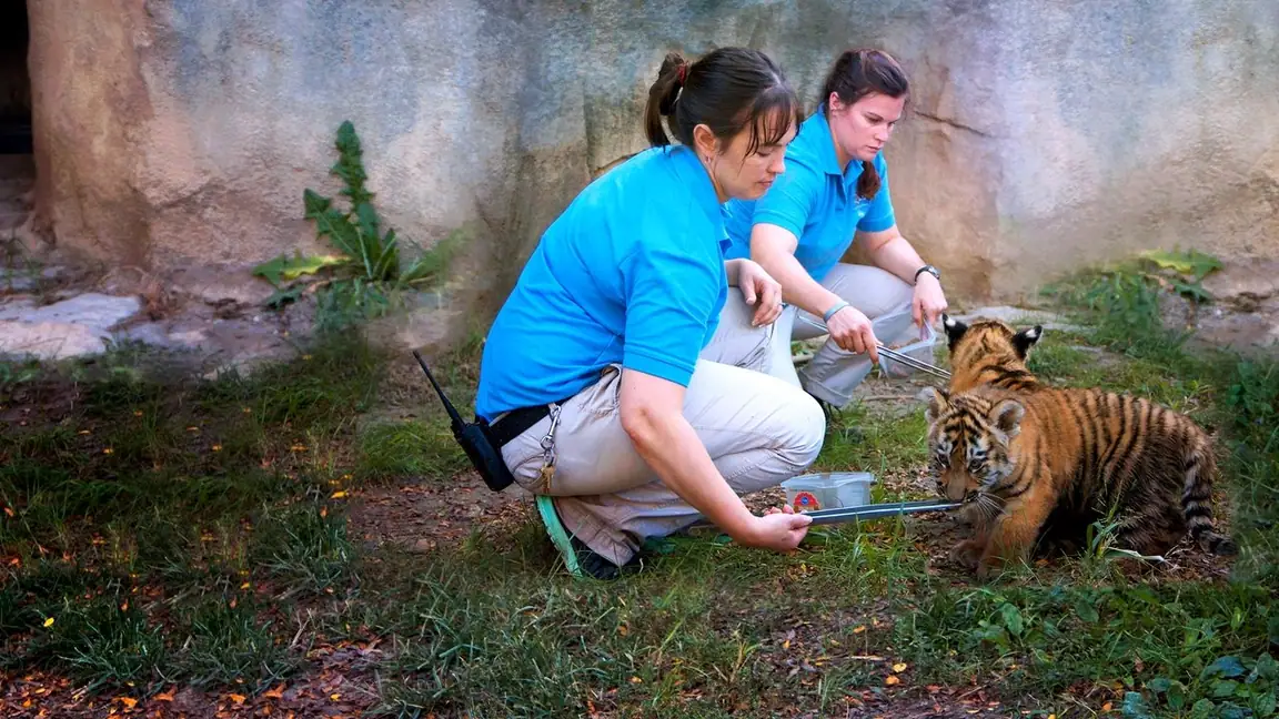 Cena da série Os Segredos do Zoológico