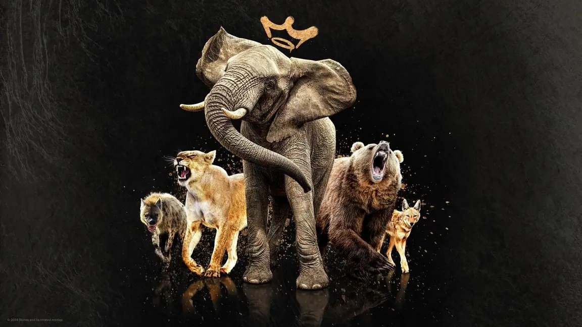 Cena da série Rainhas do Reino Animal