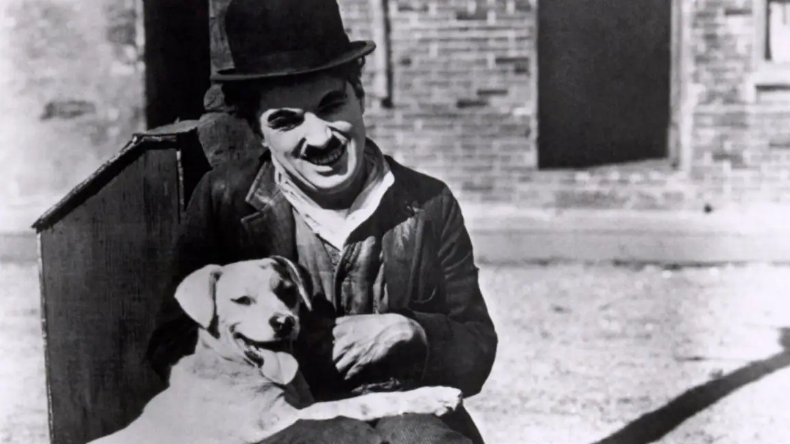 Vida de Cachorro