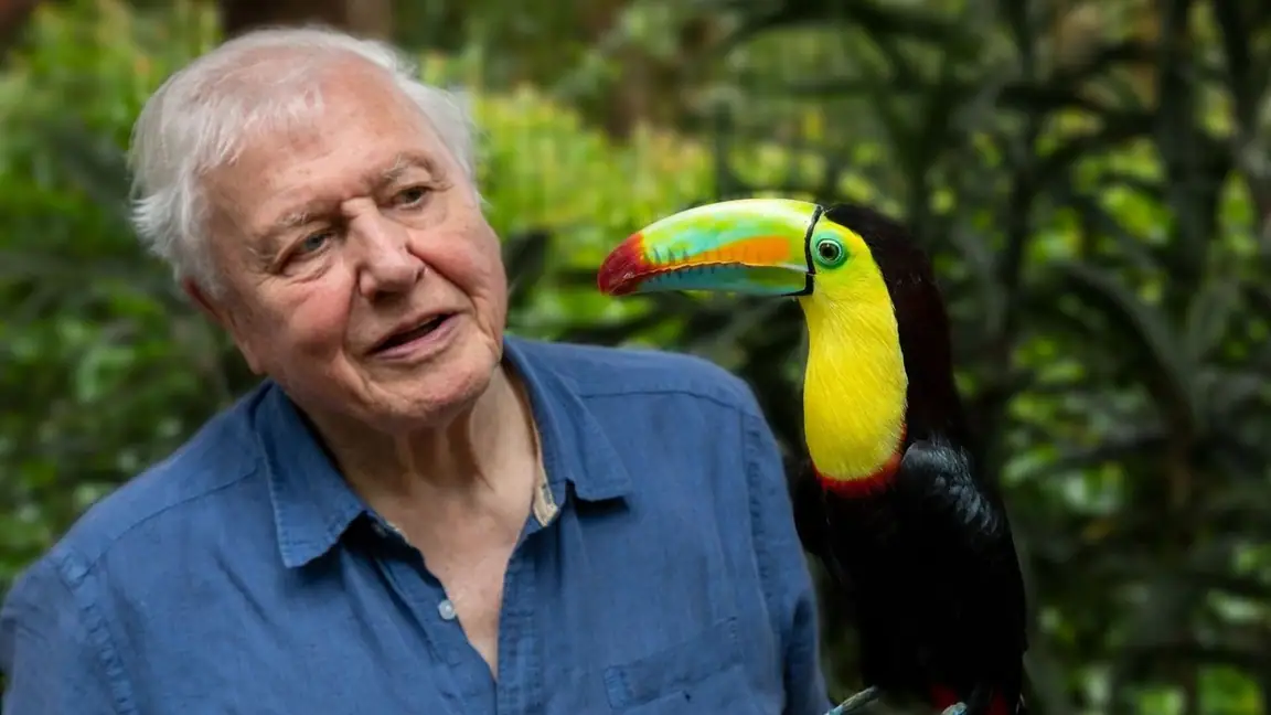 Cena da série A Vida em Cores com David Attenborough