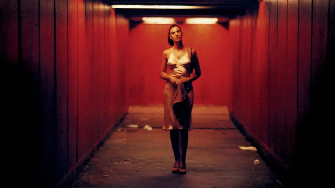 Irreversível (2002)