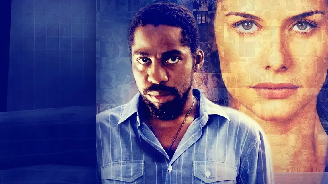O Vendedor de Passados (2014)