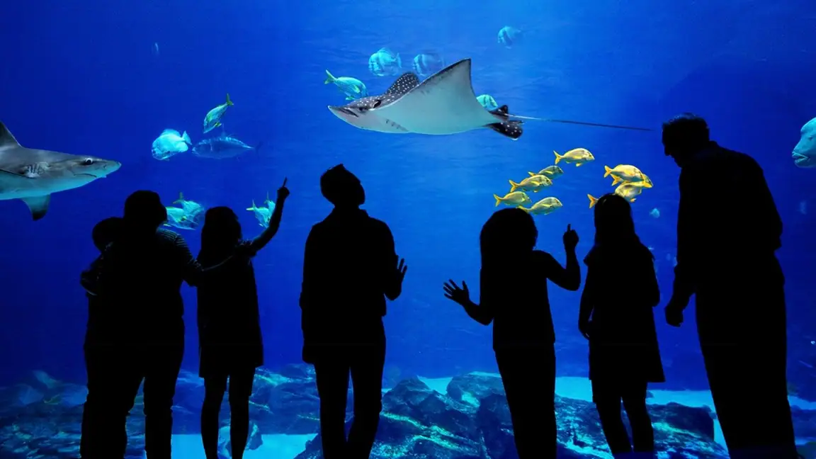 Cena da série O Aquario