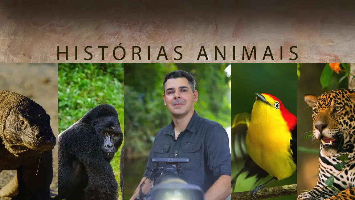 Cena da série Historias de Animais