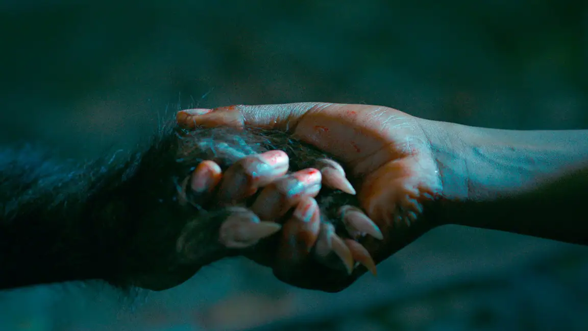 As Boas Maneiras (2017)