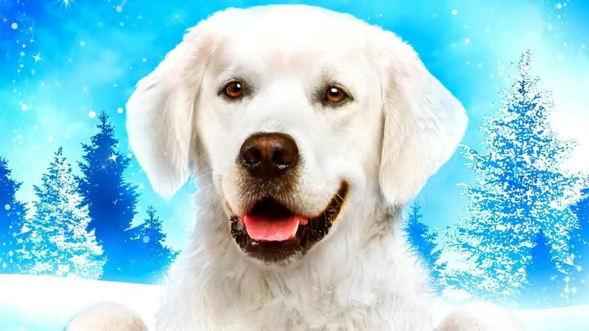 Uma Aventura no Natal (2012)