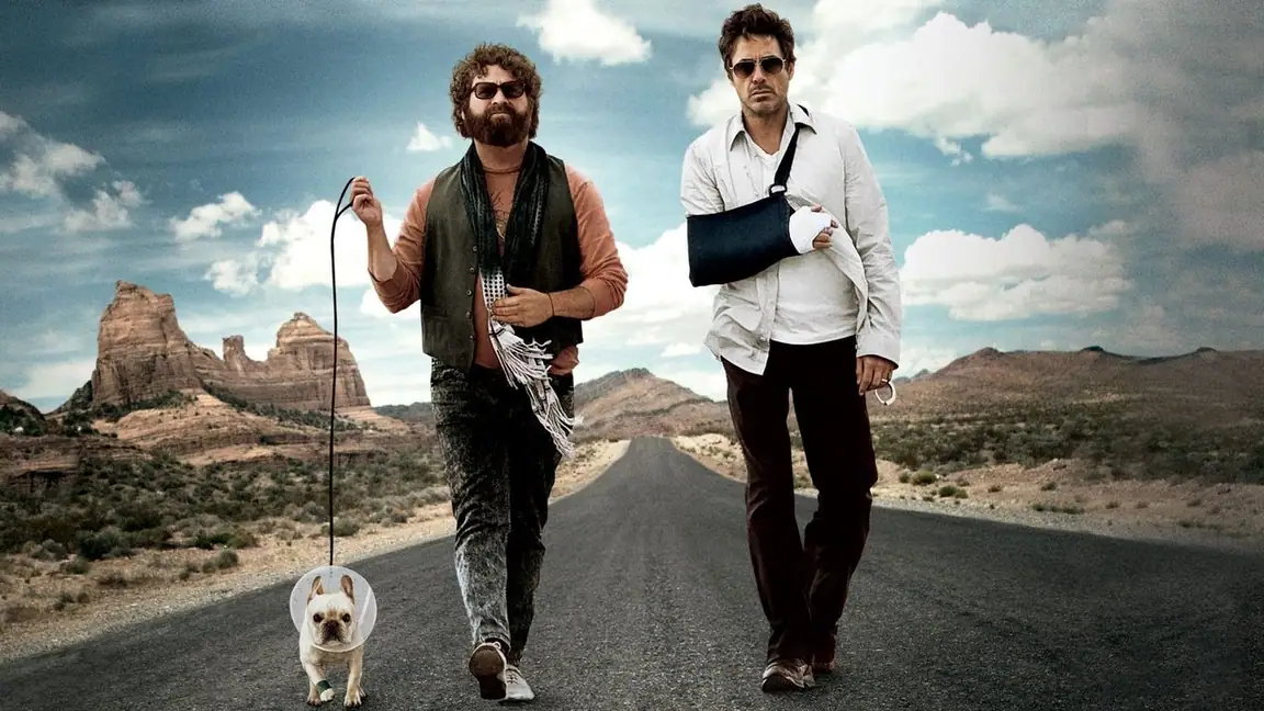 Um Parto de Viagem (2010)