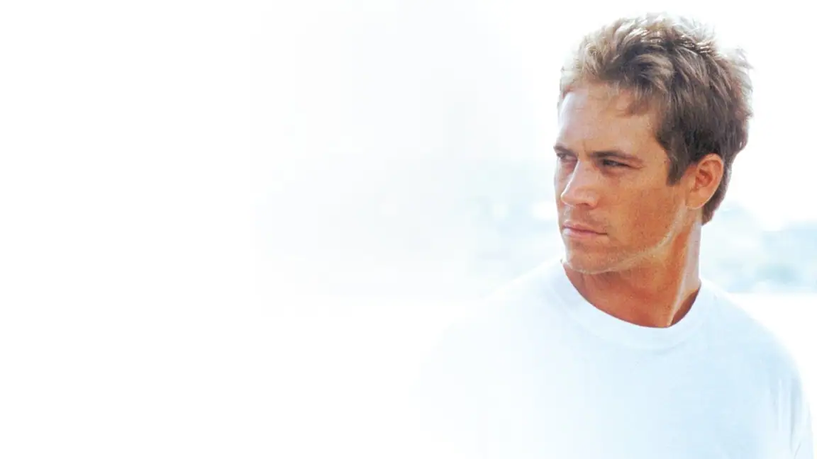 Meu Nome e Paul Walker