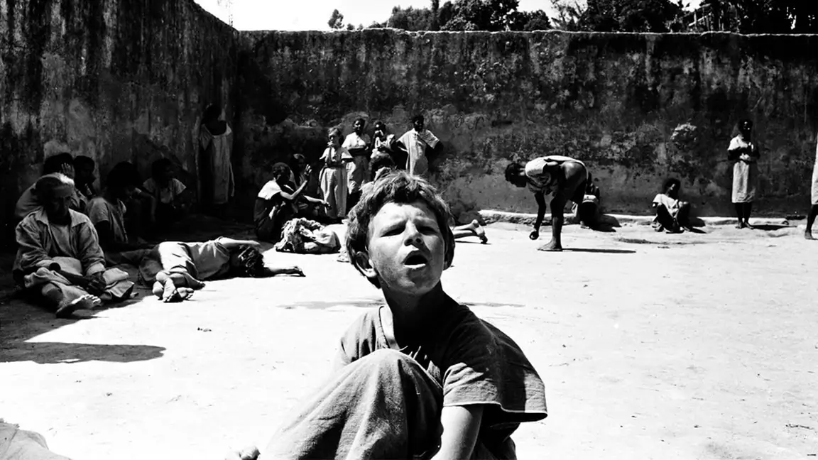 Holocausto Brasileiro (2016)
