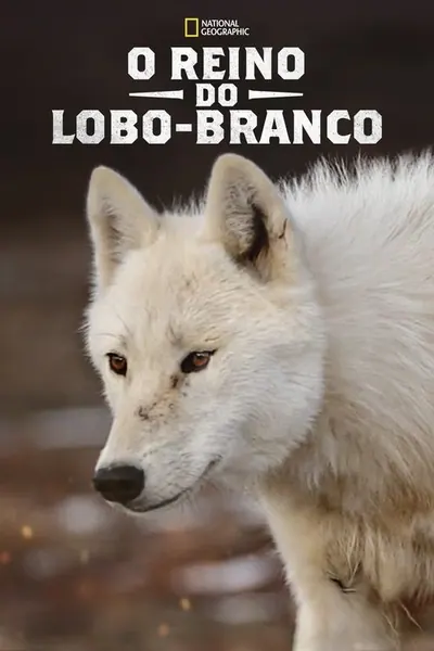 Pôster da série O Reino do Lobo Branco