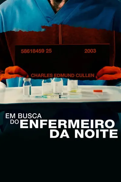 Pôster de Em Busca do Enfermeiro da Noite (2022) Legendado