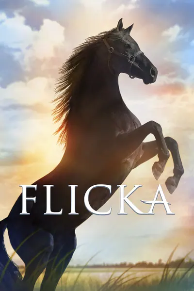 Flicka (2006)