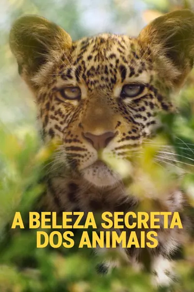 Pôster da série A Beleza Secreta dos Animais