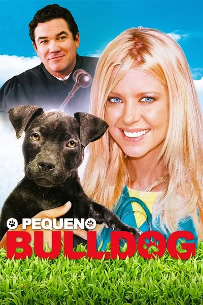 O Pequeno Bulldog (2020)