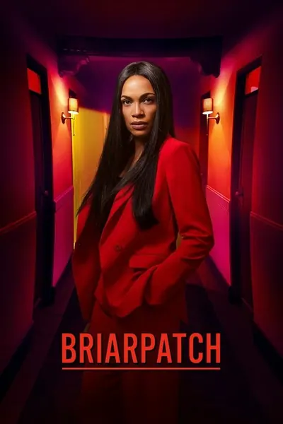 Pôster da série Briarpatch