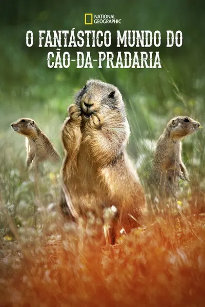 Pôster da série O Fantastico Mundo do Cao da Pradaria