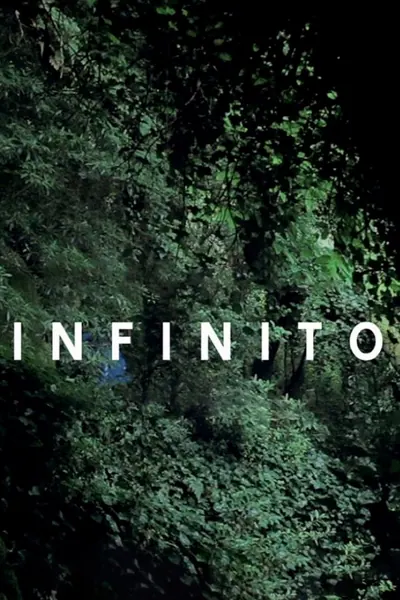 Pôster de Infinito (2011)