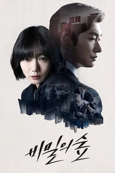 Pôster da série Stranger