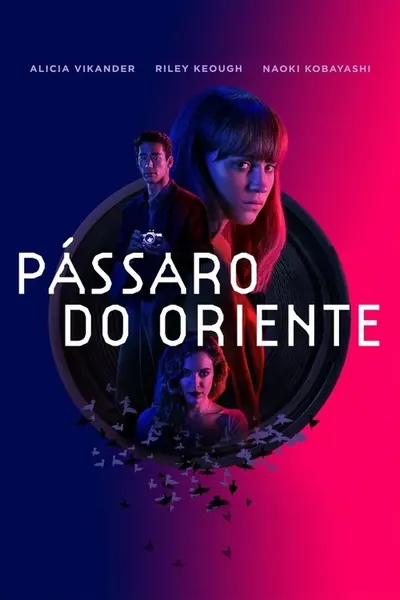Passaro do Oriente
