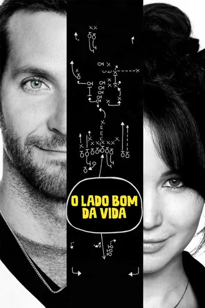 O Lado Bom da Vida (2012)