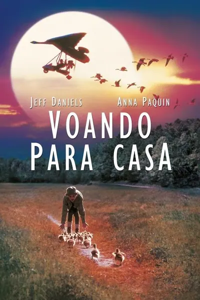 Pôster de Voando para Casa (1996)