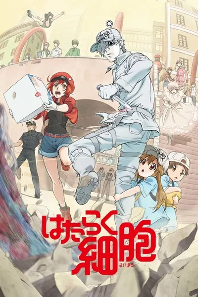 Cells at Work