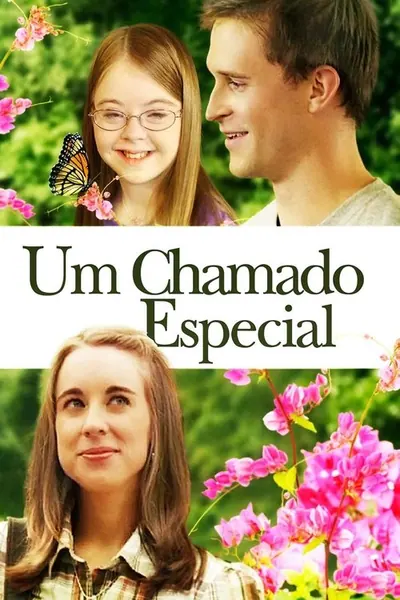 Pôster de Um Chamado Especial