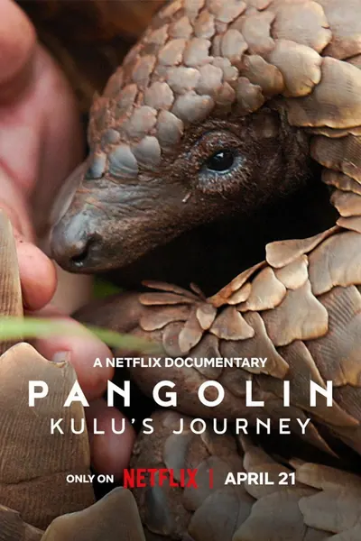 Pôster de Pangolim: A Viagem de Kulu (2025)