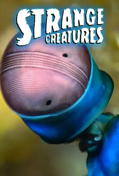Pôster da série Criaturas Estranhas