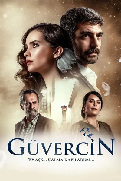 Cena da série Pombo - Guvercin