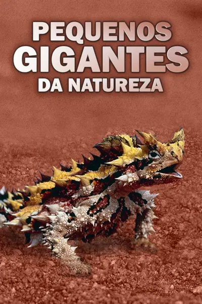 Pôster da série Pequenos Gigantes da Natureza